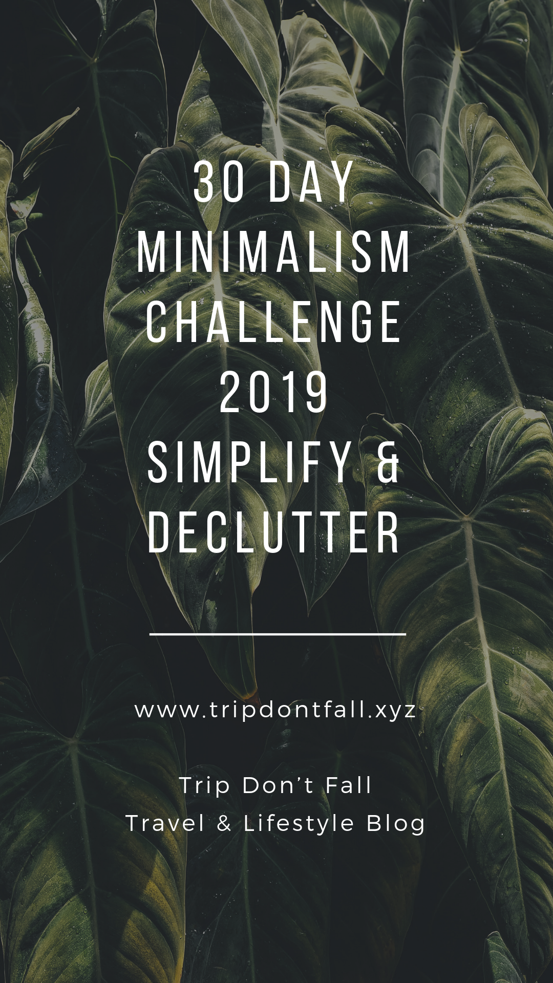 minimalist declutter challenge 2017