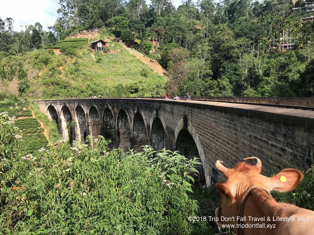 Demodara Nine Arch Bridge in Ella, Sri Lanka